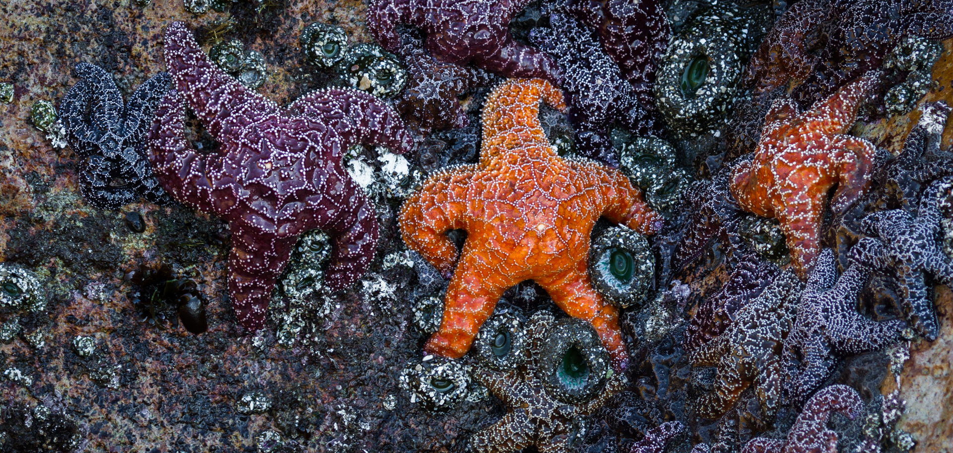 AdobeStock