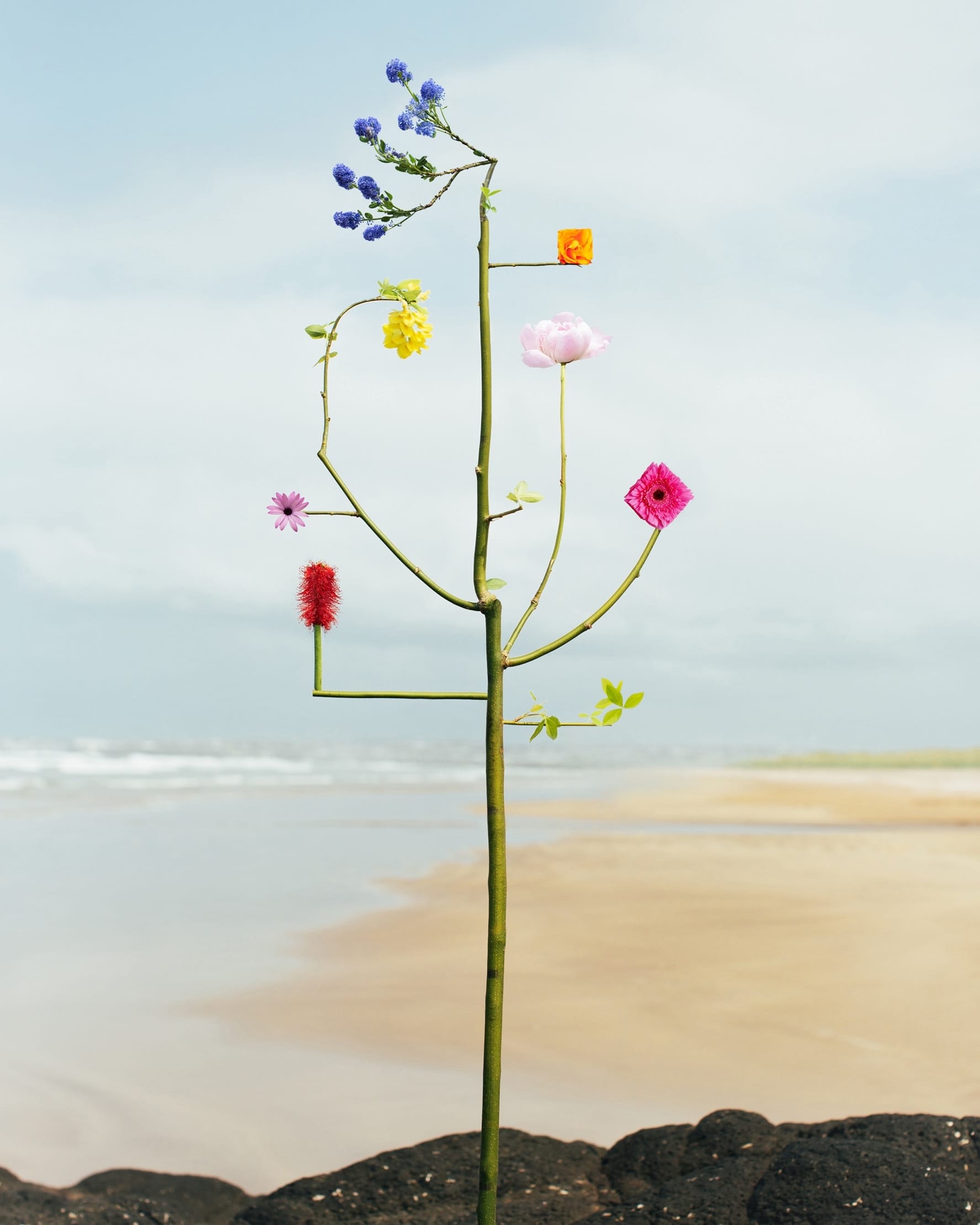 a sculptural floral assemblage by jennifer latour photographed against a serene landscape