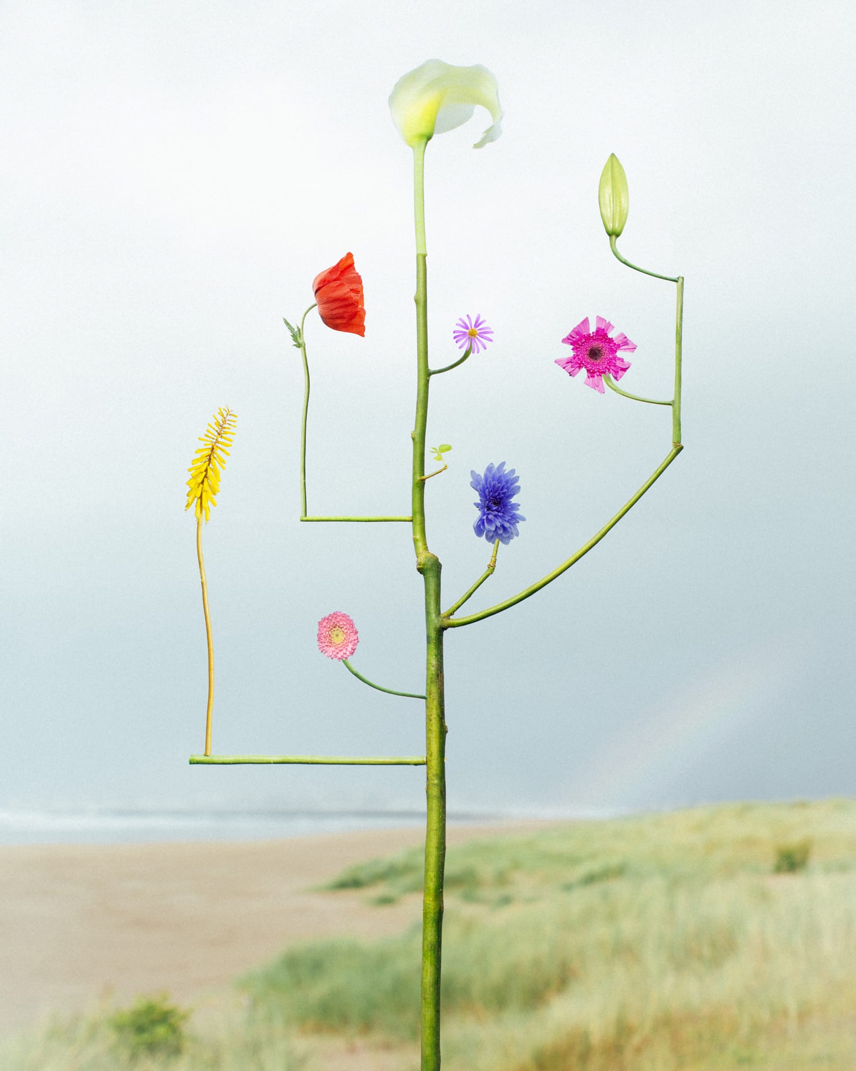 a sculptural floral assemblage by jennifer latour photographed against a serene landscape