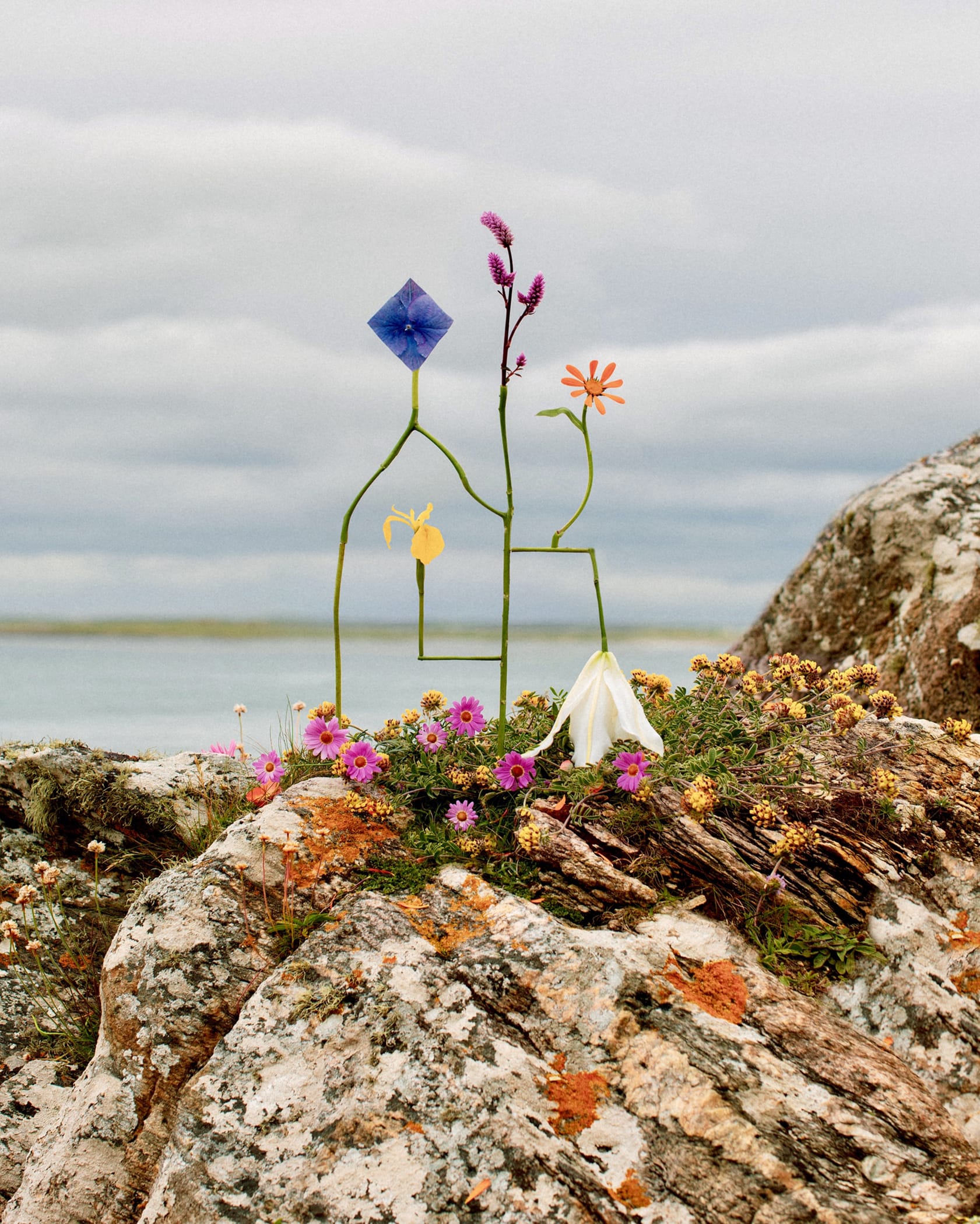 a sculptural floral assemblage by jennifer latour photographed against a serene landscape