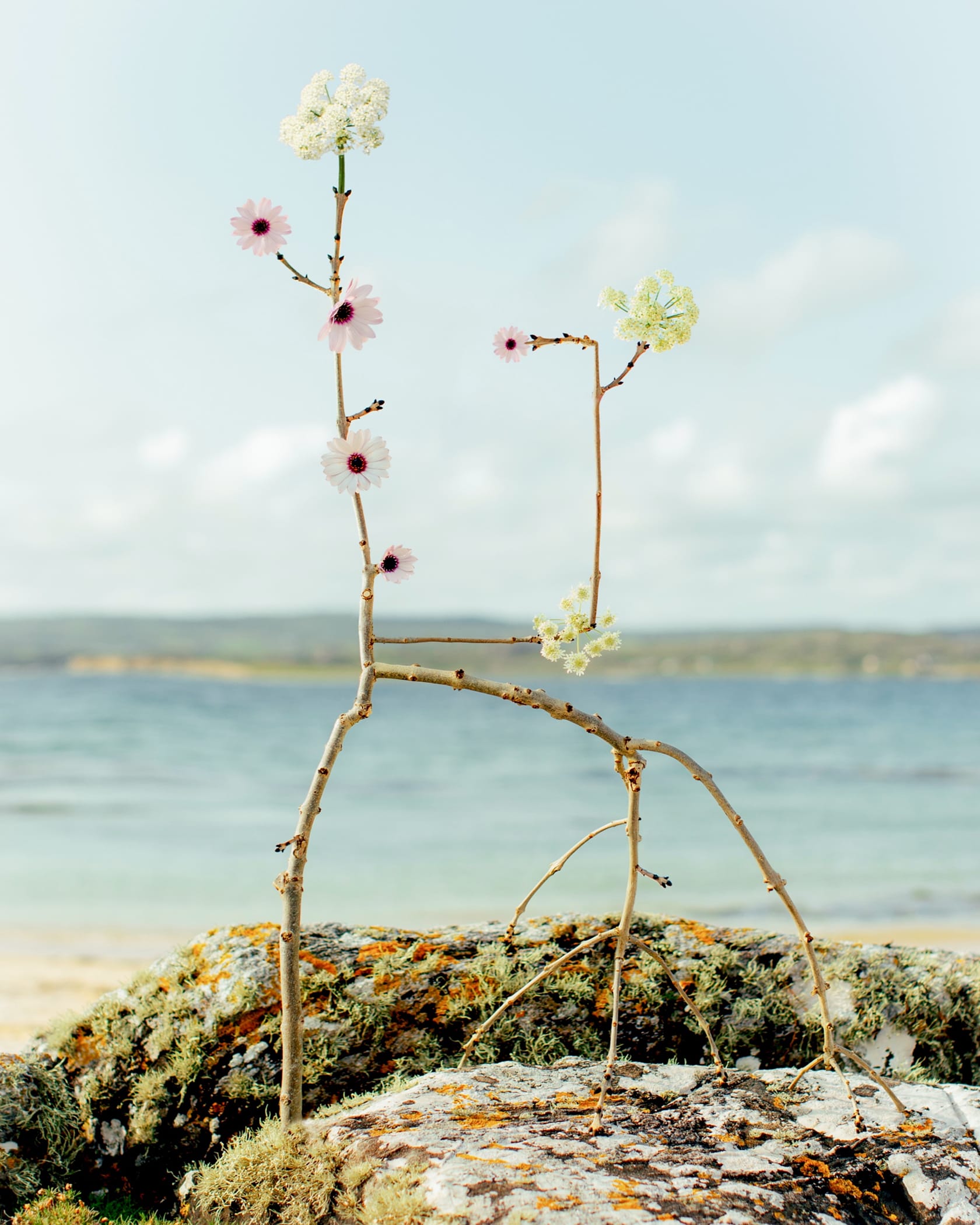 a sculptural floral assemblage by jennifer latour photographed against a serene landscape