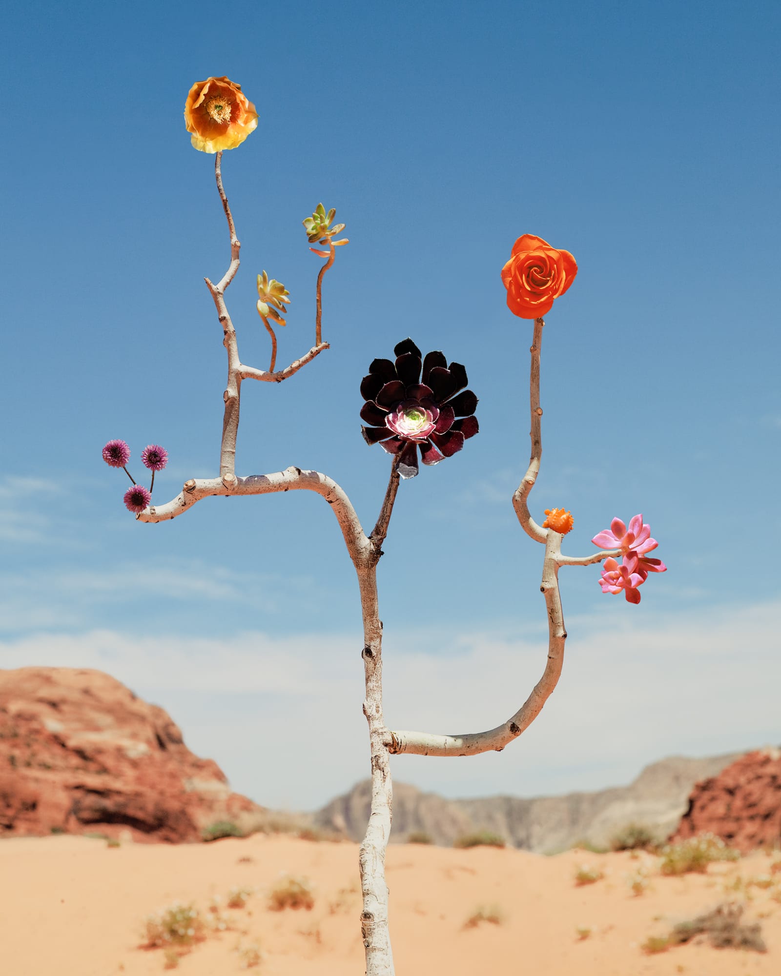a sculptural floral assemblage by jennifer latour photographed against a serene landscape